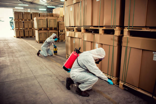 Best Bed Bug Extermination  in St Johns, MI