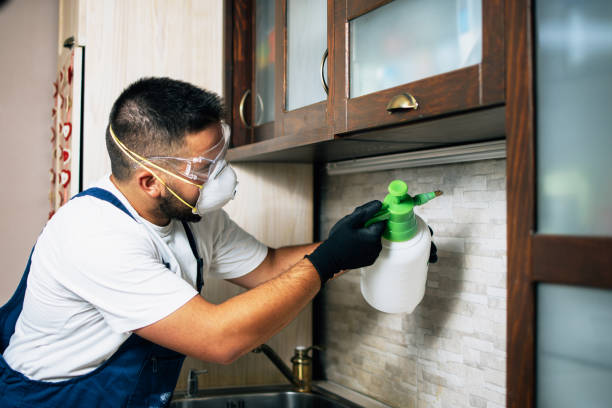 Best Best Pest Control Companies  in St Johns, MI
