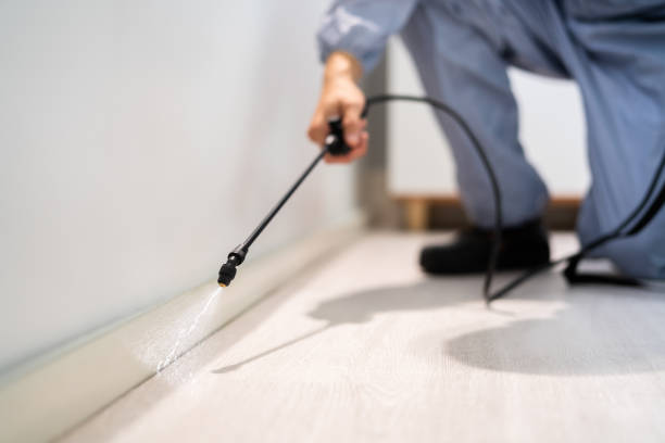 Wildlife Control Services in St Johns, MI