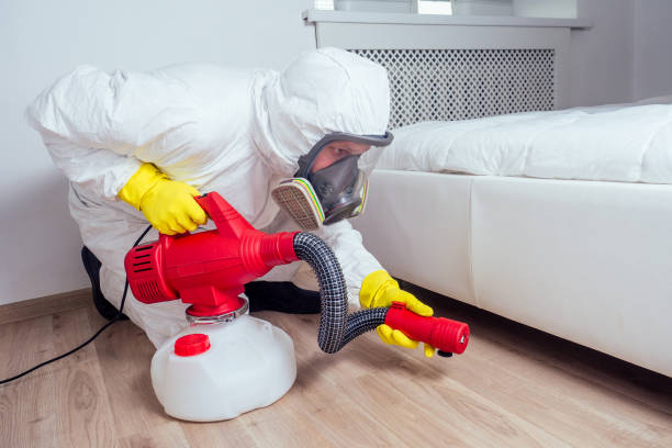 Best Emergency Pest Control  in St Johns, MI
