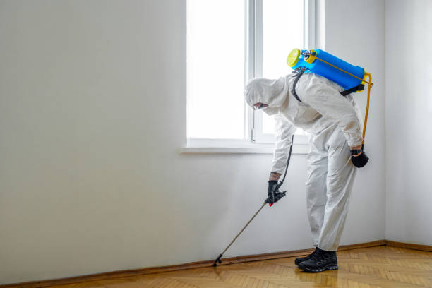  St Johns, MI Pest Control Pros