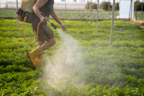 Best Affordable Pest Control Services  in St Johns, MI