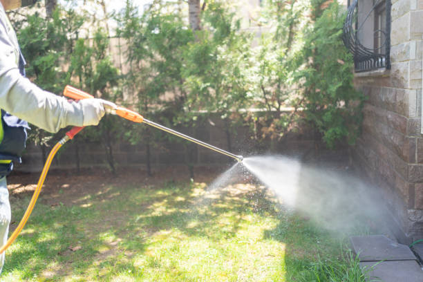 Best Affordable Pest Control Services  in St Johns, MI