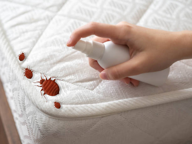 Insect Control in St Johns, MI