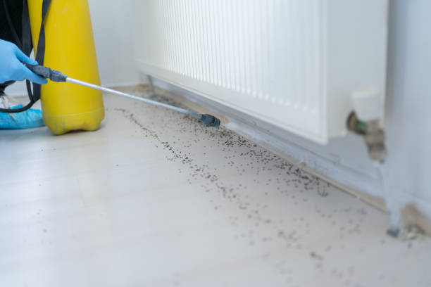 Best Mosquito Control Services  in St Johns, MI