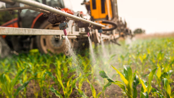 Reliable St Johns, MI Pest Control Solutions