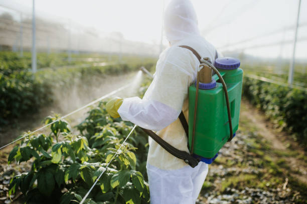 Best Wildlife Control Services  in St Johns, MI